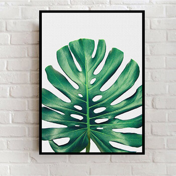 北欧风ins客厅沙发背景墙装饰画小清新绿植龟背竹简约挂画无框画 e款