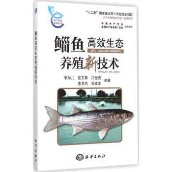 鲻鱼高效生态养殖新技术