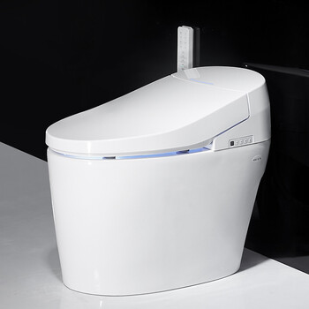 德莱尼 全自动冲水智能马桶 一体智能坐便器即热式无水箱 白色 400mm