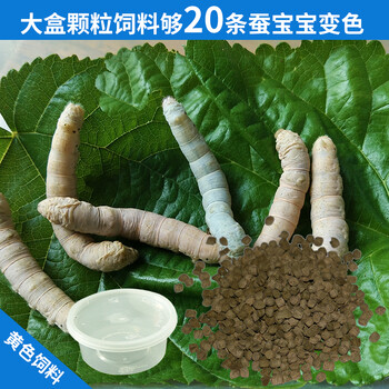 楠花绿坊 金贝萝农资蚕宝宝饲料 蚕宝宝彩色饲料搭配 黄紫红蓝色饲料