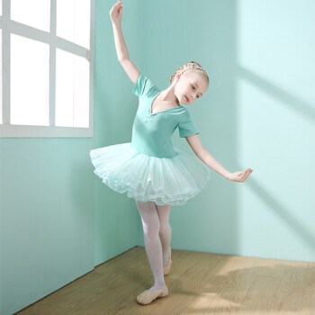 春秋季幼儿童芭蕾舞蹈服女童小孩女孩跳舞连衣裙练功衣服演出服装