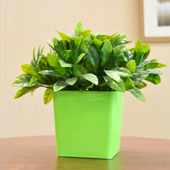 仿真花盆栽假花植物摆件桌面卧室绿植装饰品家居小盆景塑料干花 方绿