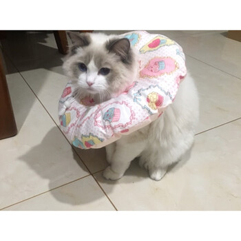 【多规格可选】,伊丽莎白圈猫脖套脖圈头套头罩猫咪防舔防咬宠物保护