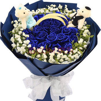 浩仪鲜花速递11朵19朵33朵红玫瑰花束礼盒同城重庆北京上海 19蓝玫瑰