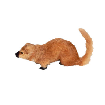 2018新,仿真黄鼠狼模型黄仙供奉摆件仿真黄鼬标本仿真动物工艺品道具