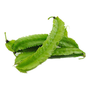 良知农哥新鲜四角豆绿色金子龙豆四棱豆健康轻食3斤装