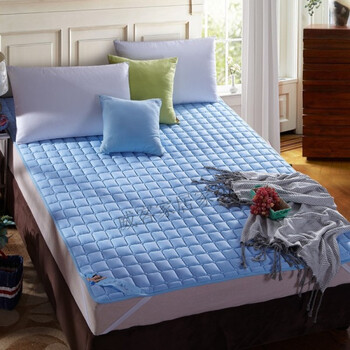 夏天榻榻米床垫地垫可折叠打地铺睡垫 床垫薄款 床铺垫子 经济型 蓝天