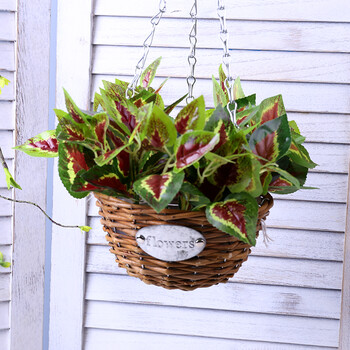 藤编吊兰花盆仿真花绿植套装组合客厅装饰花篮壁挂室外 原柳蓝 红心叶