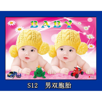 龍鳳寶寶海報照片畫報漂亮可愛男嬰兒畫雙胞胎教早教超大圖片墻貼 s12