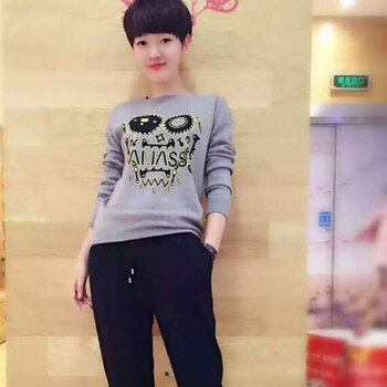职业阿玛施特女装旗舰店专柜正品2015秋冬装新款羊毛时尚百搭圆领卫衣T恤衫毛衣 浅灰色针织衫 L(4码)