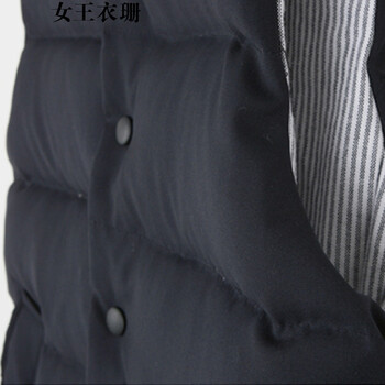 女王衣珊2015秋呢子马甲休闲百搭立领保暖毛呢外套马夹棉服女棉衣 灰色 XL