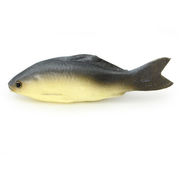 仿真鱼模型 假鱼秋刀鱼多宝鱼海洋动物大头鱼草鱼摄影装饰道具 小鲫鱼