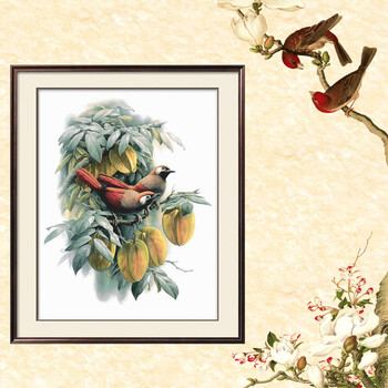 手工刺绣创意绣品十字绣新款多美绣法国dmc 客厅花草动物鸟赤尾国画赤尾14ct 2股 白布 非印布 图片价格品牌报价 京东