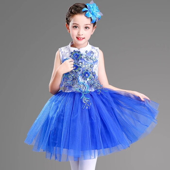 儿童演出服装公主裙蓬蓬纱裙多色男女童舞台幼儿园表演服 蓝色女款