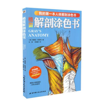 现货我的第一本人体解剖涂色书格雷解剖涂色书手绘插画北京科学技术出版社 摘要书评试读 京东图书