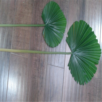 园艺仿真粽叶 扇尾叶 棕榈叶 椰子树叶 仿真芭蕉扇