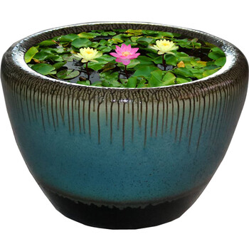 景德镇陶瓷器锦鲤金鱼缸庭院荷花睡莲水缸家居客厅水缸 e款 大号