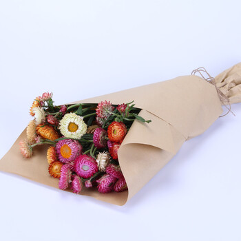 安浓园艺麦秆菊10支鲜花一扎客厅摆花云南基地直供全国家庭订阅鲜花
