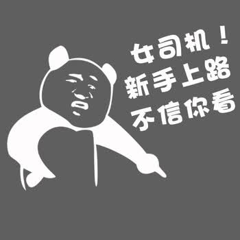 新手上路车贴女司机不信你看创意个性搞笑文字汽车装饰警示贴纸 女
