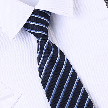 拉链领带职业装正装商务酒店银行保安工作方便懒人易拉得式qz d10蓝白