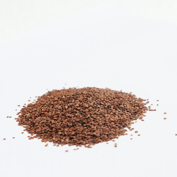 水草泥水族箱前景矮牛毛水草种子 对叶草坪种子 爱情草(水草种子)