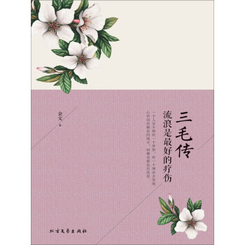 三毛传：流浪是最好的疗伤pdf/doc/txt格式电子书下载