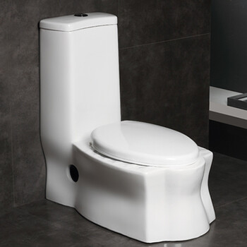 新款蒙娜丽莎家用蹲坐两用蹲便器马桶静音虹吸式大管极速排污 智洁