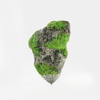 浮石悬浮石鱼缸造景仿真漂浮石水族装饰造景石仿真水草 大号