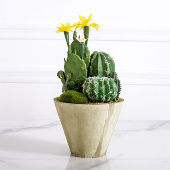 北欧风仿真花假花植物盆栽仿真多肉仙人掌盆景 室内客厅装饰花工艺品