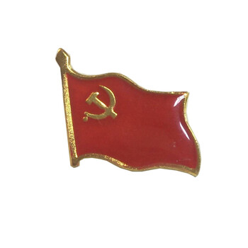 党徽强力磁铁磁扣高档党员徽章胸章胸针别针为人民服务 小号旗形无字