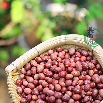 云南高原老品种花生豆 金丝豆 红花豆 雀蛋豆 花奶豆500克