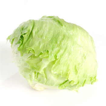 一番滋园大菜园 球生菜 500g 新鲜蔬菜 圆生菜 色拉菜沙拉 西餐 生鲜