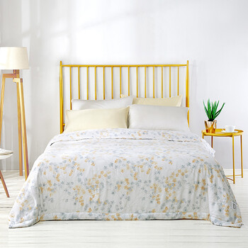 乐扣乐扣家纺 蚕丝被夏凉被子 夏被可水洗被芯夏薄被芯 浅蓝色