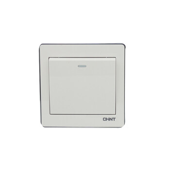 正泰(chnt)墙壁开关new6-d00100一联单控开关16ax250v