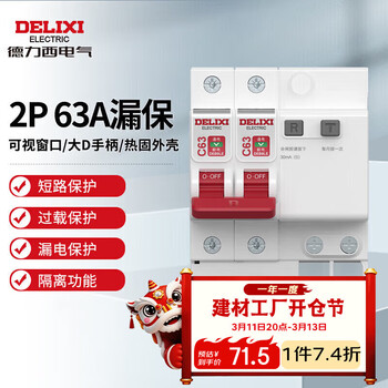 德力西电气空开断路器空气开关漏电保护器DEB9LE 2P 63A