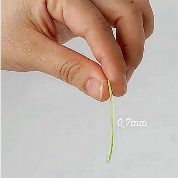 黄瓜面膜美容切片器 黄瓜美容刀 黄瓜面膜切片器A51