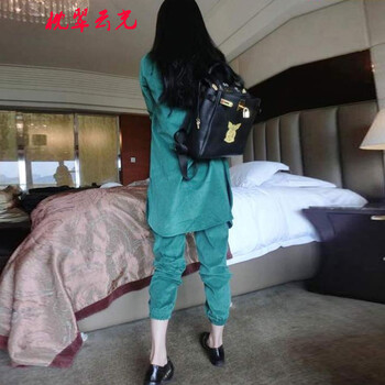 枕翠云光 2015早秋新款休闲长款衬衫韩版修身胖MM大码时尚套装女秋季 绿色 S