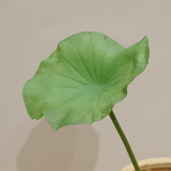 叶莲花睡莲叶假花绢花 佛堂供花 莲蓬客厅装饰花摆件单枝 小号荷叶