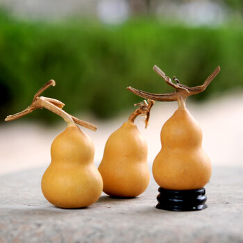 天然葫芦手捻小葫芦美国文玩葫芦小胖墩葫芦摆件种植基地葫芦 6~8厘米