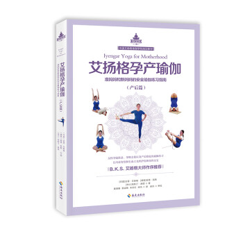 [正版图书]艾扬格孕产瑜伽（产后篇）准妈妈和新妈~~安全瑜伽练习指南 azw3格式下载