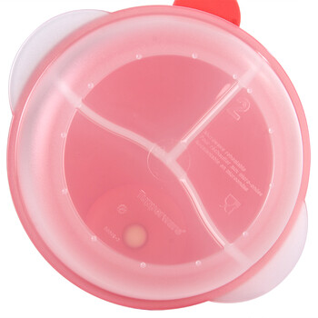 特百惠（Tupperware）午餐便携饭盒 简约组合2件套  石榴红