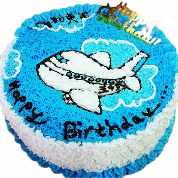 定制创意儿童卡通飞机生日蛋糕北京上海广州深圳杭州重庆西安南京成都