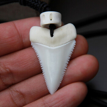 鲨鱼牙吊坠项链真大白鲨牙齿挂件男女个性情侣饰品本命年生日礼物礼物