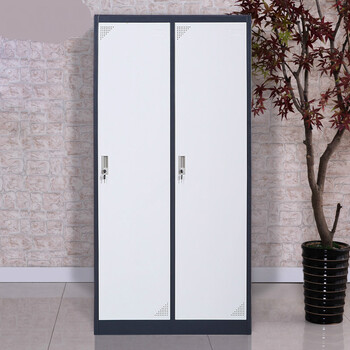 办公宿舍学校二门铁皮更衣柜员工柜带锁储存物柜寄存换衣柜 精品黑白