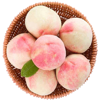 生鲜速运正宗无锡阳山水蜜桃大桃新鲜水果特产桃子时令水蜜桃单果5两6