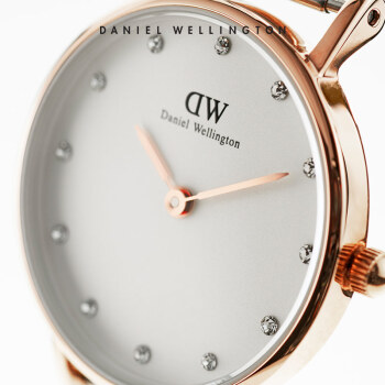 ٣Daniel WellingtonֱDWŮ26mm̽ɫŮʿʯӢ0906DWDW00100065