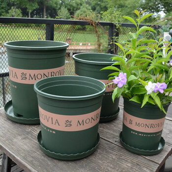 花无痕花盆加仑花盆多肉花盆绿植花盆塑料树脂创意阳台种菜盆栽绿萝