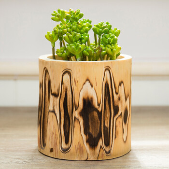 类似爱情 创意家居装饰摆件仿真植物火烧杉木笔筒工艺品 笔筒 多肉