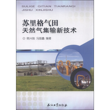 苏里格气田天然气集输新技术
