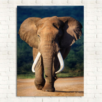 大象东南亚风格客厅装饰画玄关卧室餐厅挂画书房动物泰式创意壁画